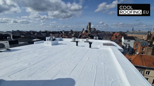 Waarom witte dakverf cruciaal is voor dakbedekking in Frankrijk