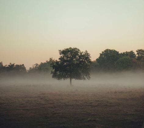 When a Property Is Declared as Abandoned Property in the UK